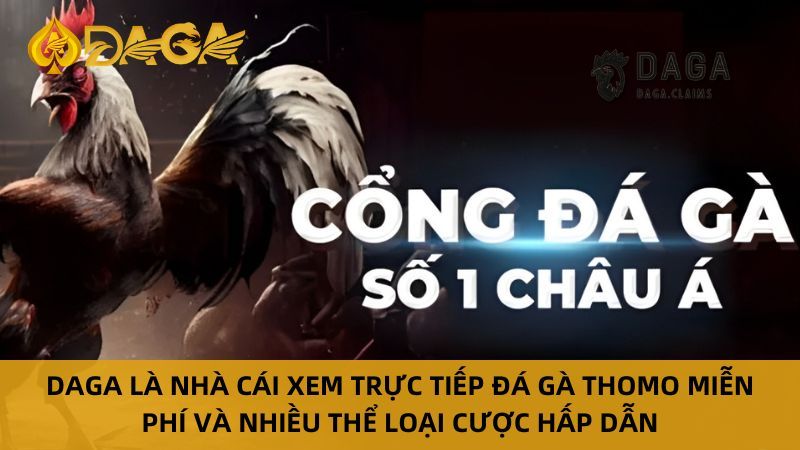 Nhà cái Daga – Địa chỉ trải nghiệm Đá Gà Thomo Online uy tín