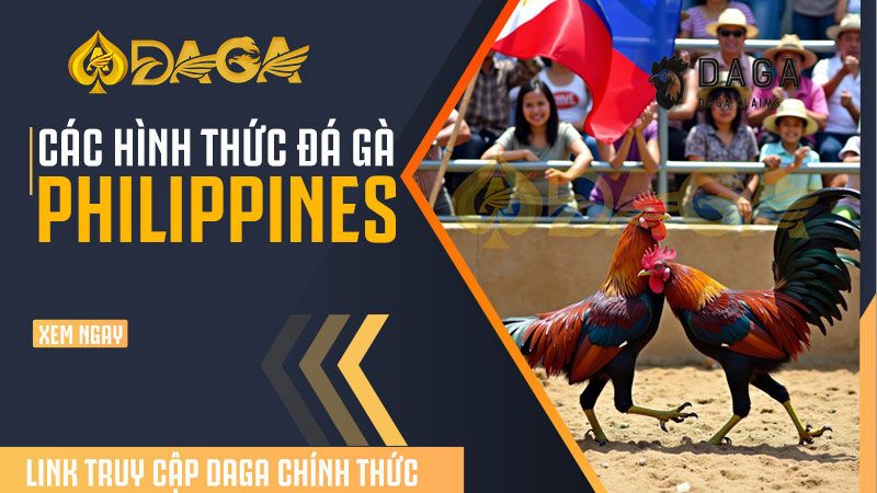 Bí quyết cá cược Đá Gà Philippines tại Daga hiệu quả
