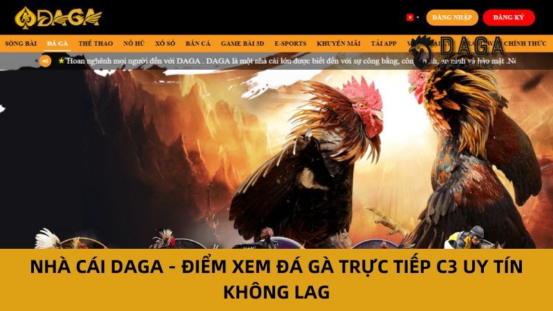 Tìm hiểu sức hút riêng của Đá Gà Trực Tiếp C3